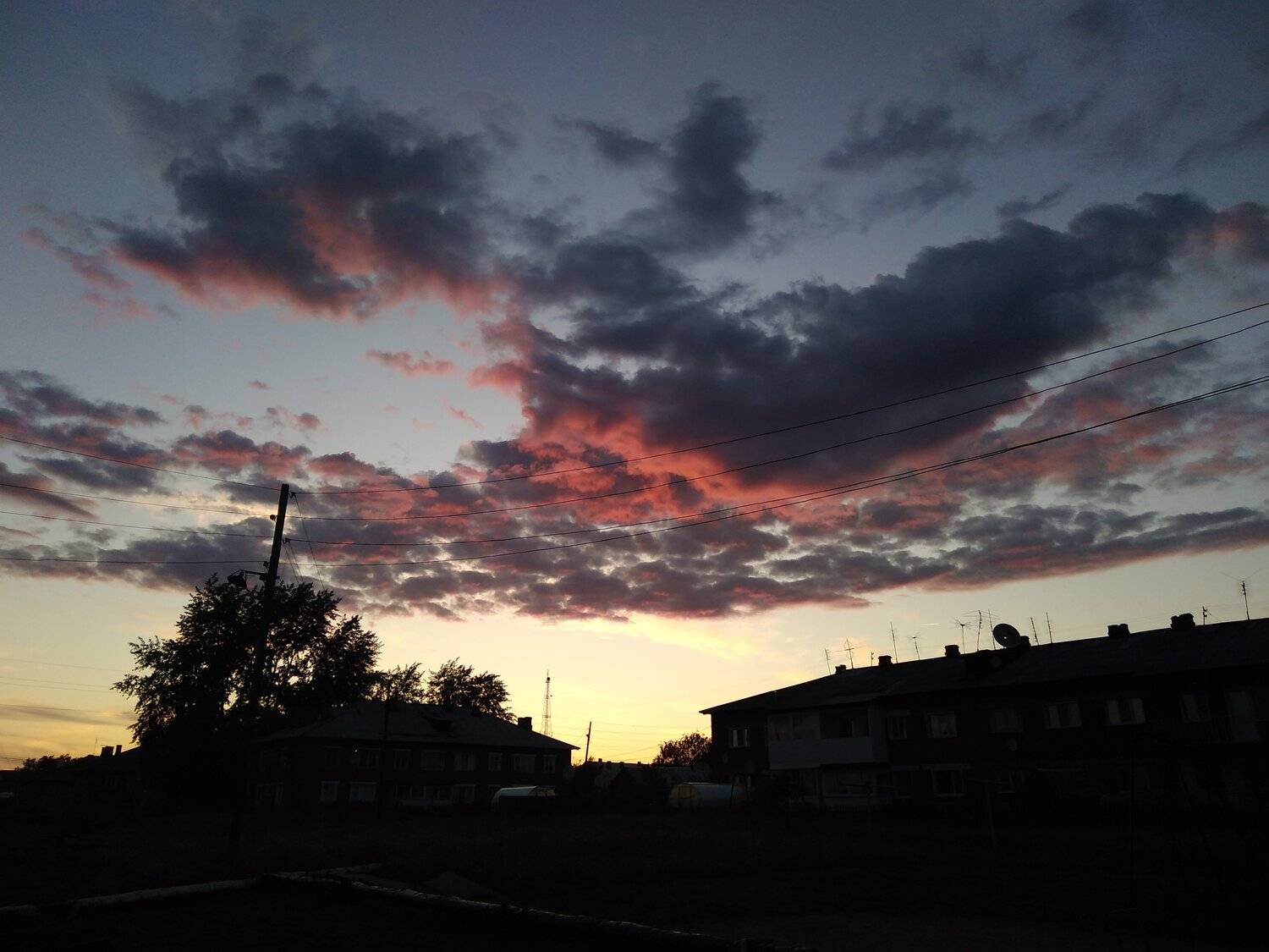 Photo #5072014