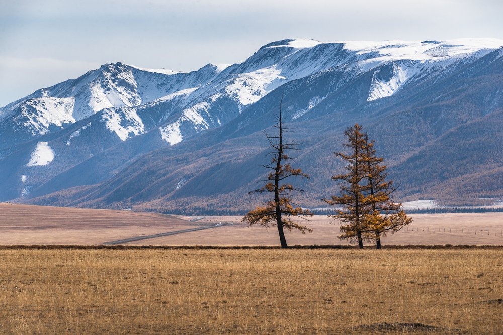 Photograph by Сергей Юрков