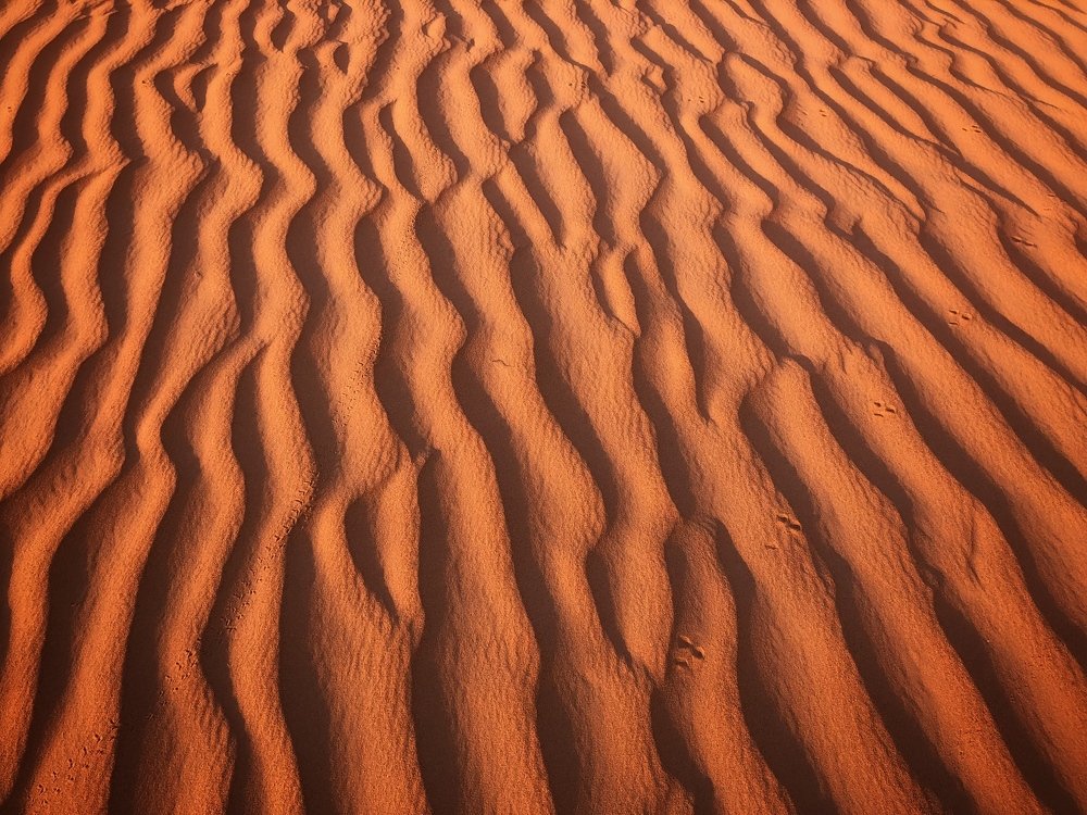 Photograph by Наталья Пирогова