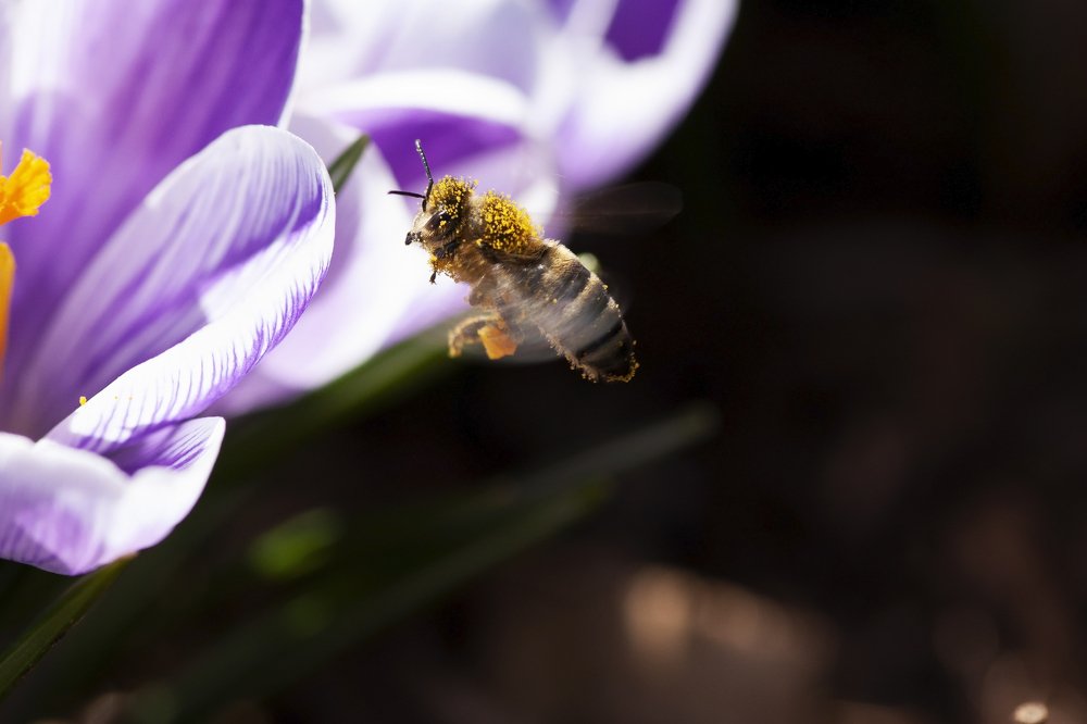 Photograph by Людмила Травина