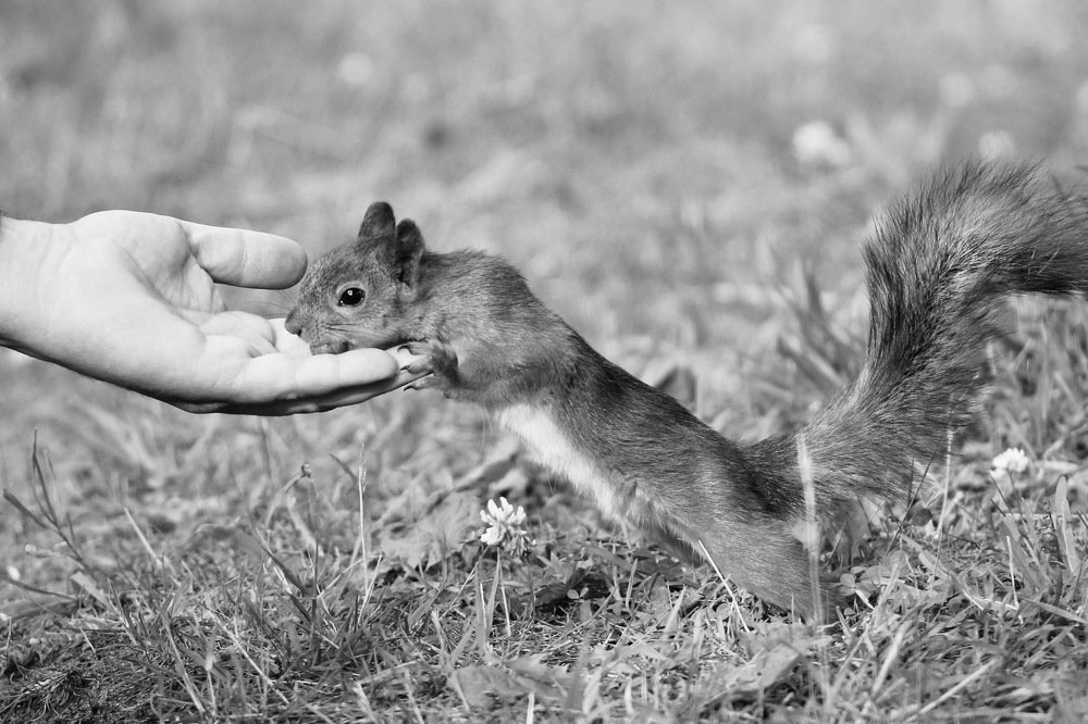 Фотография автора Елена Колосова