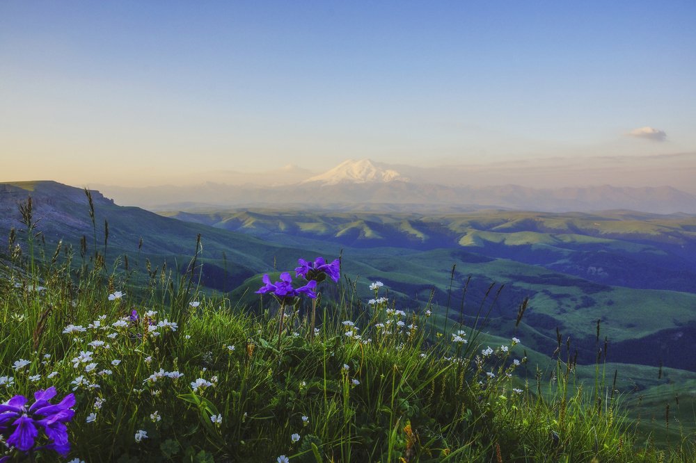 Photograph by Марина Гнедаш