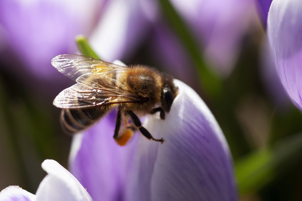 Photograph by Людмила Травина