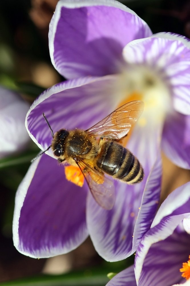 Photograph by Людмила Травина