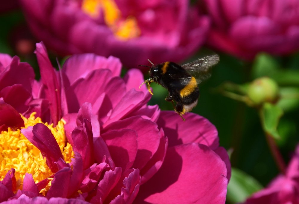 Photograph by Galina Leskova