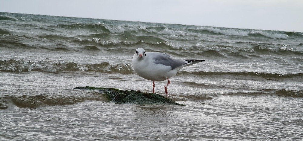 Photograph by Алексей Миронов