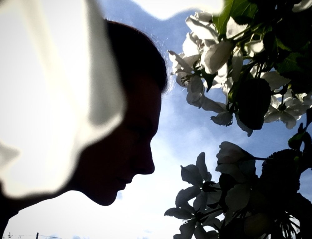 Photograph by Евгения Жос