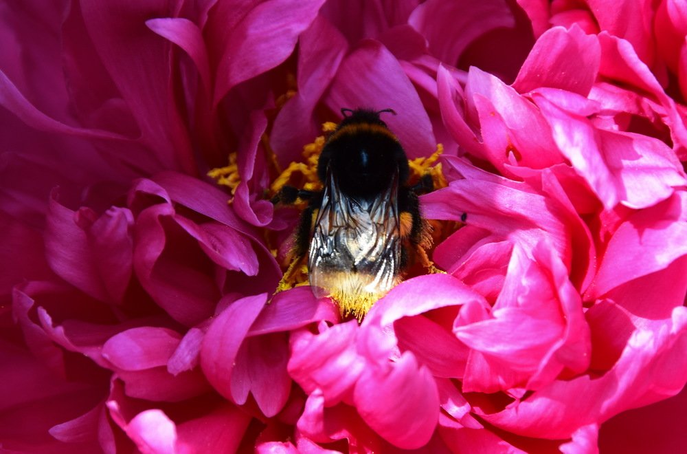 Photograph by Galina Leskova