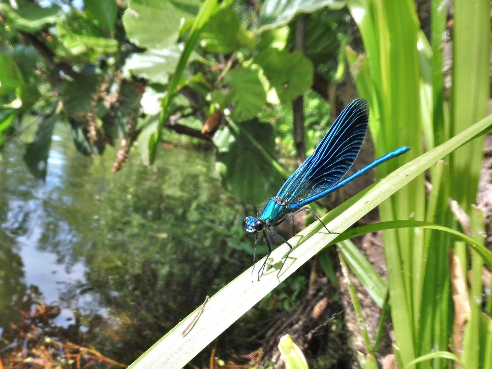 Фотография автора Клавдия Васильева