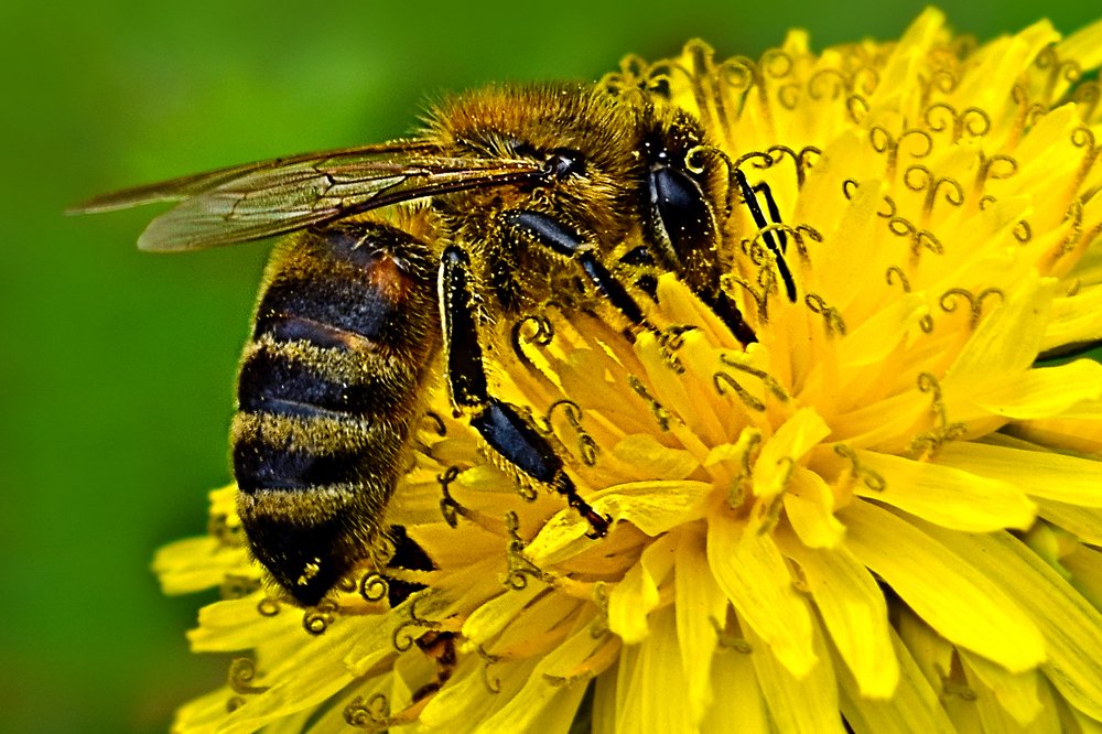 Photograph by Kiril Mucevski