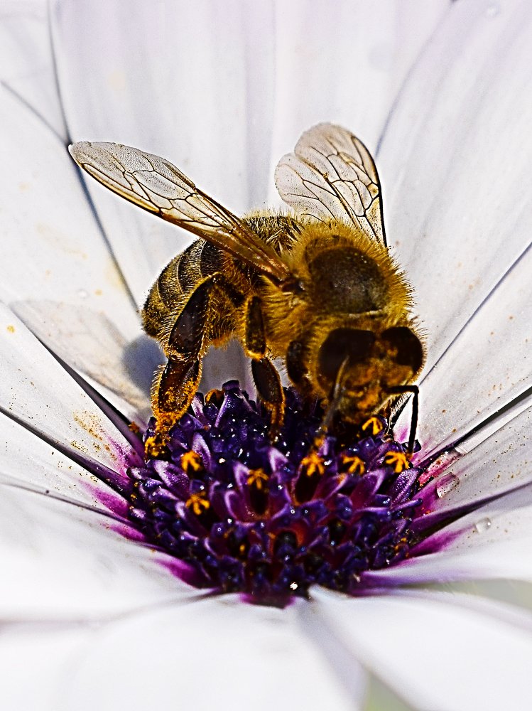 Photograph by Kiril Mucevski