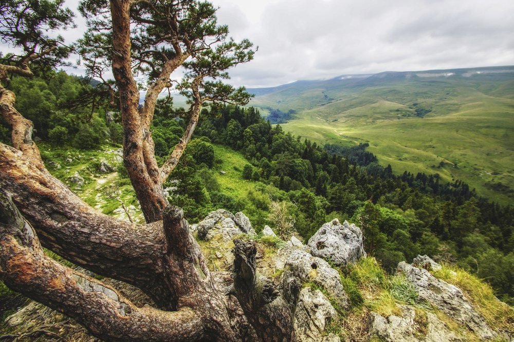 вид на плато Лаго-Наки