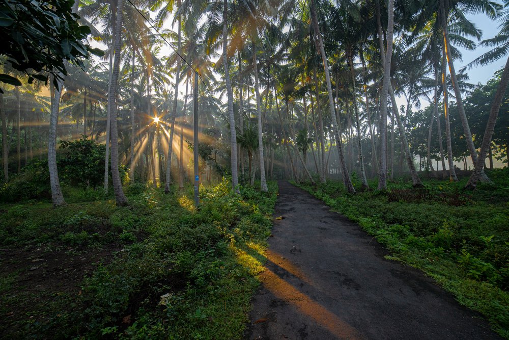 Photograph by Romsha Golos