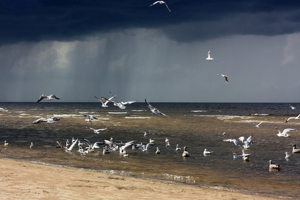 Photograph by Людмила Травина