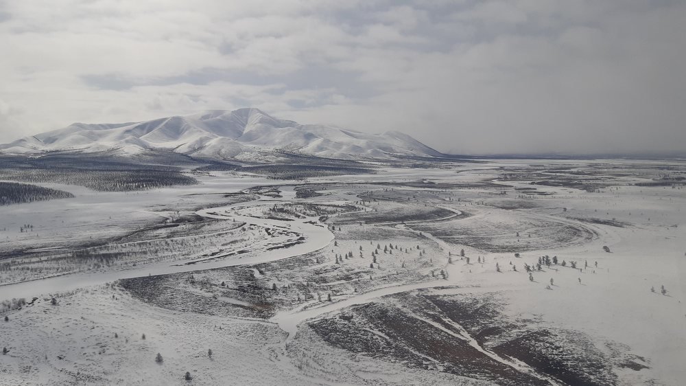 Белое безмолвие