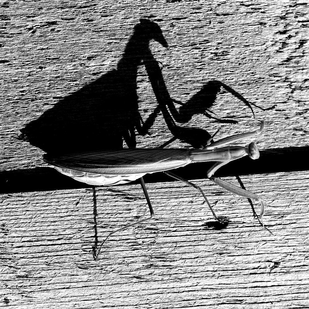 Фотография автора Юрий Варюхин