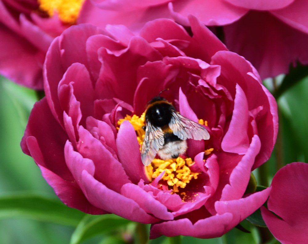 Photograph by Galina Leskova