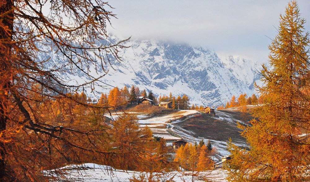 Photograph by Svetlana Rizzo