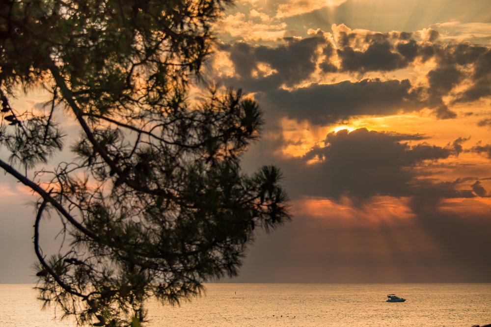 Photograph by Евгения Бочарова