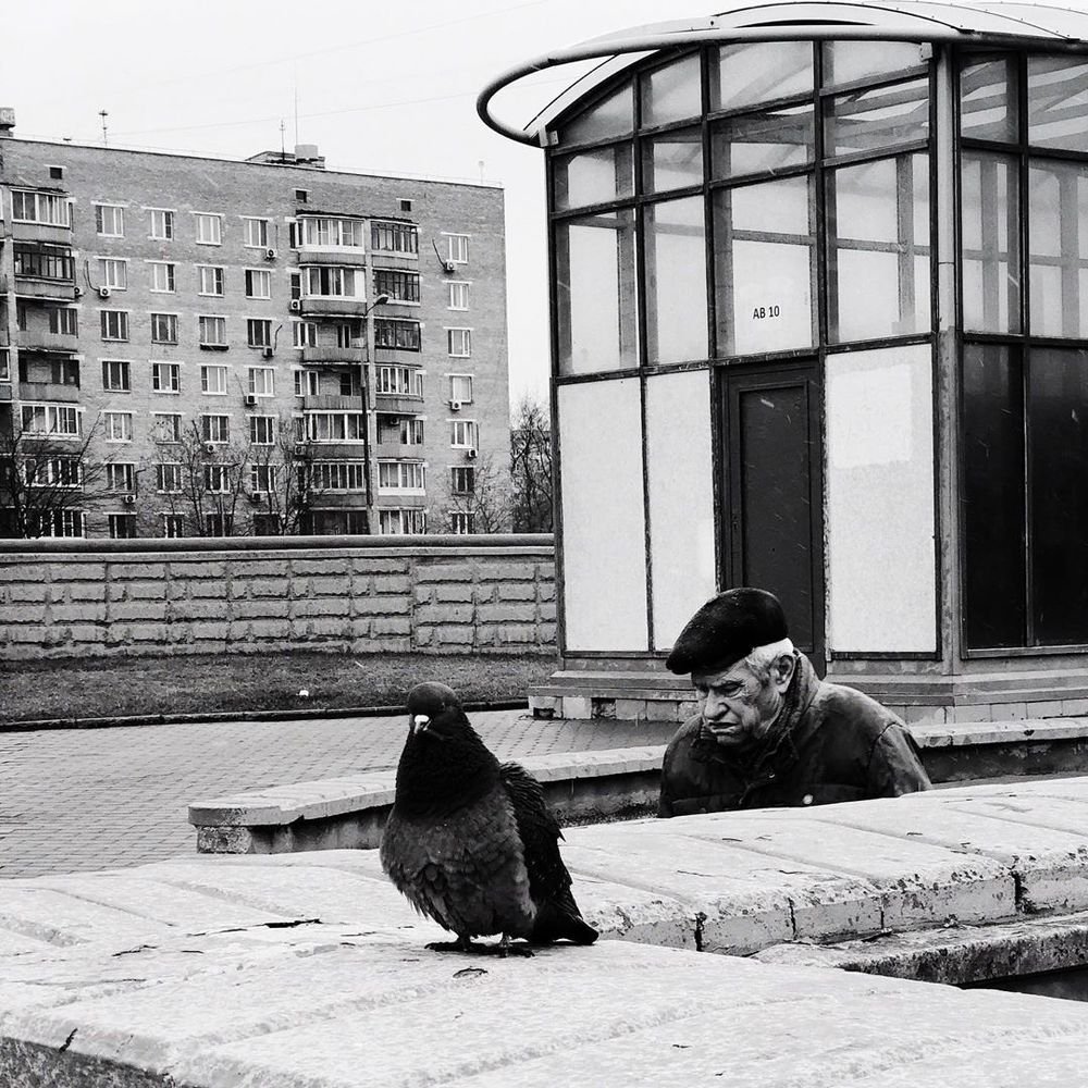 Photograph by Андрей Киреев