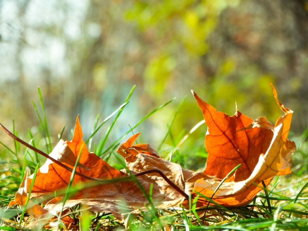 Photograph by Анжелика Трошина