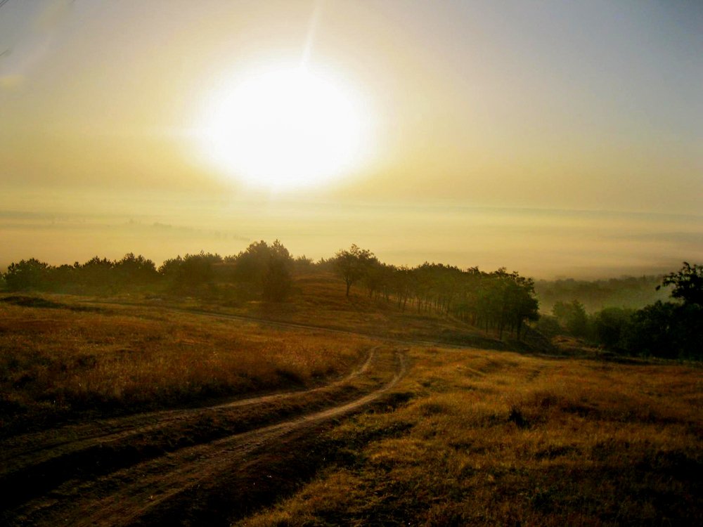 Photograph by Ирина Федорова