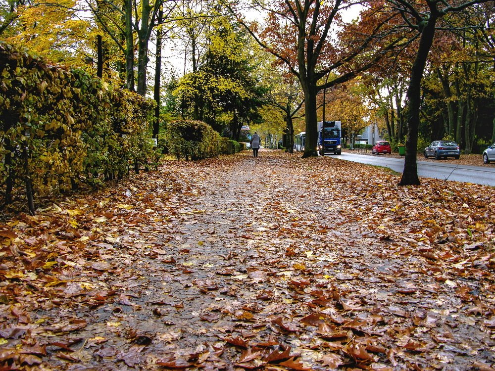 Photograph by Ирина Федорова