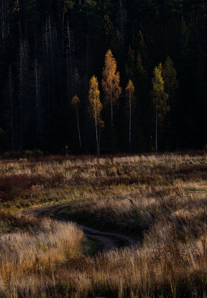 Photograph by Алексей Солоухин