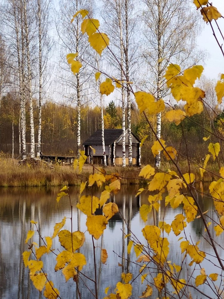 Photograph by Владимир Перминов