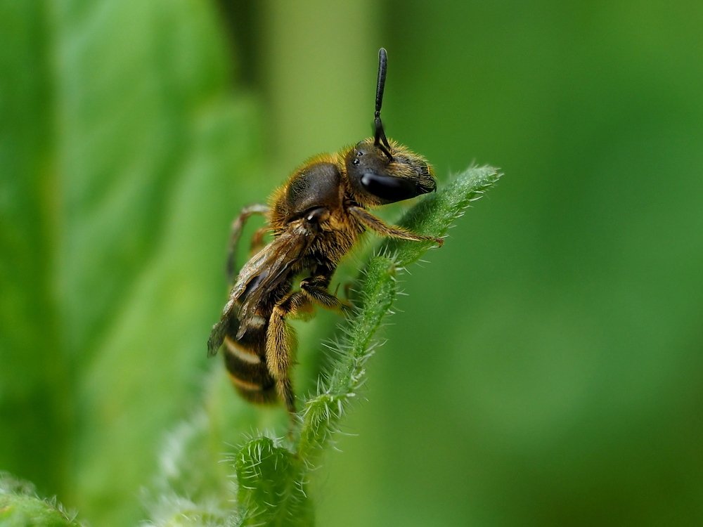 Photograph by Елена Харитонова