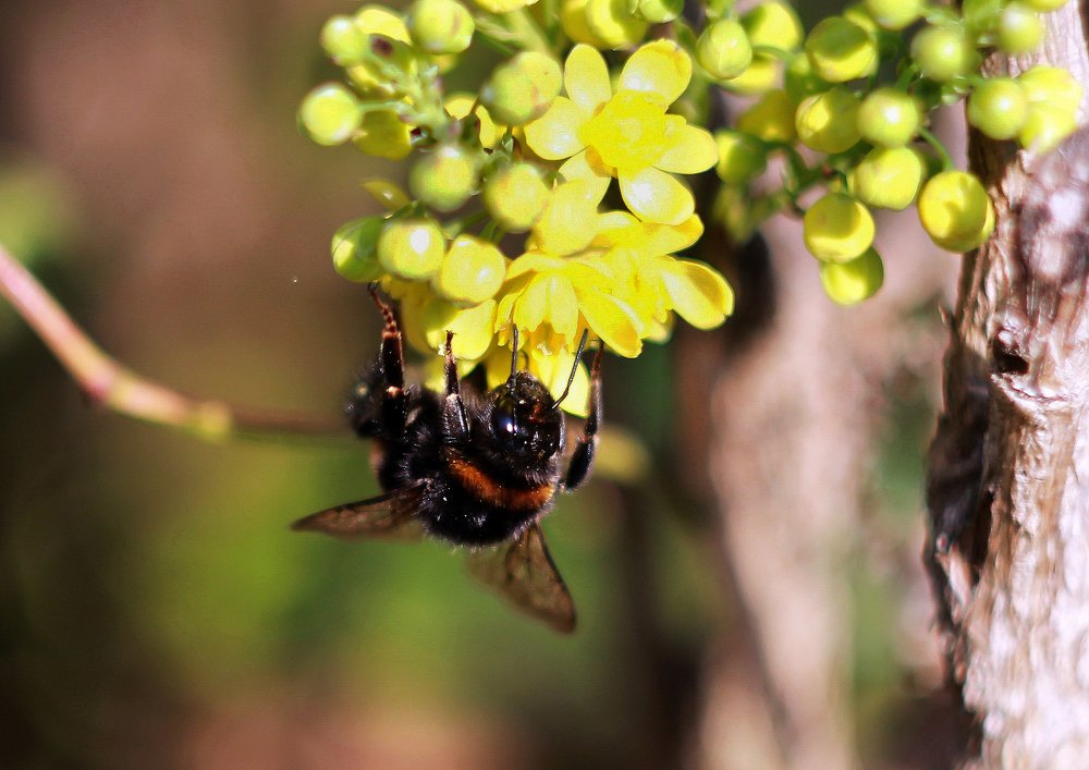 Photograph by Татьяна Бушук