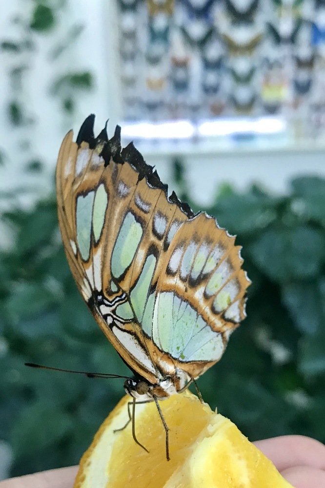 Photograph by Наталья Ковалёва