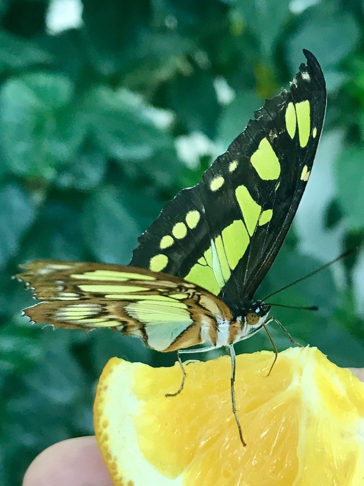 Photograph by Наталья Ковалёва