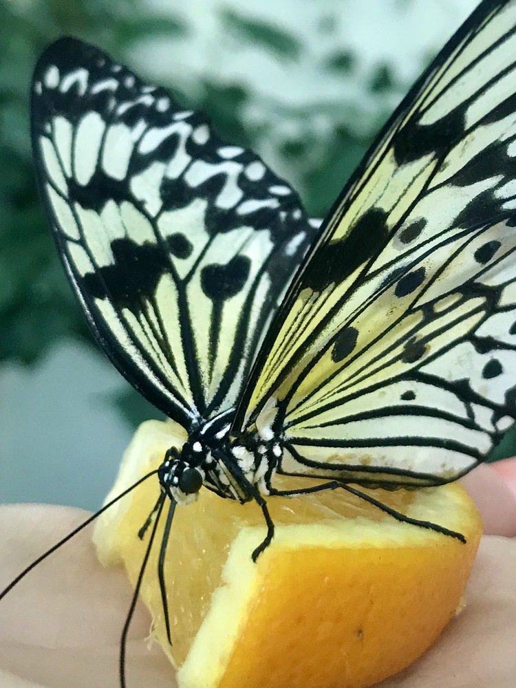 Photograph by Наталья Ковалёва