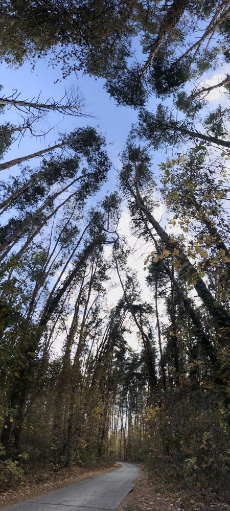 Photograph by Владислав Громов