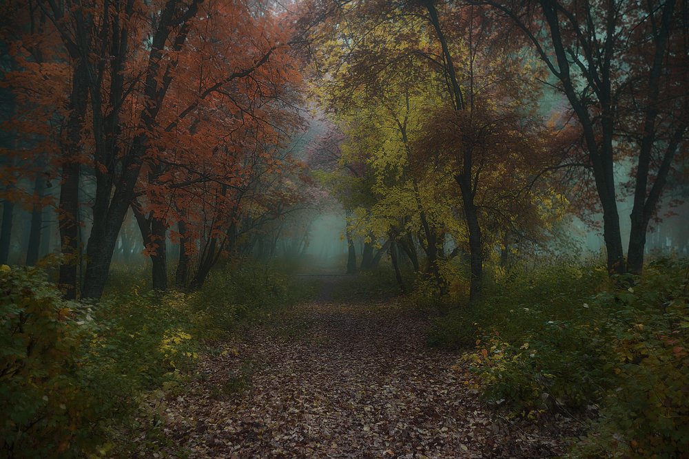 Photograph by Юлия