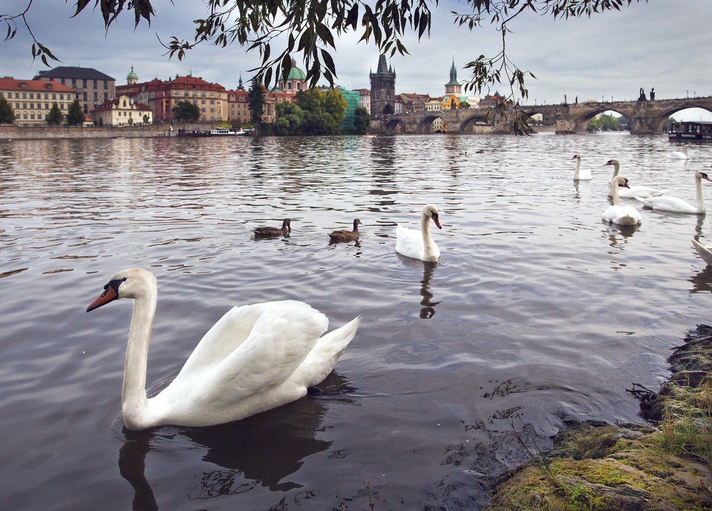 Photograph by Ольга Виноградова