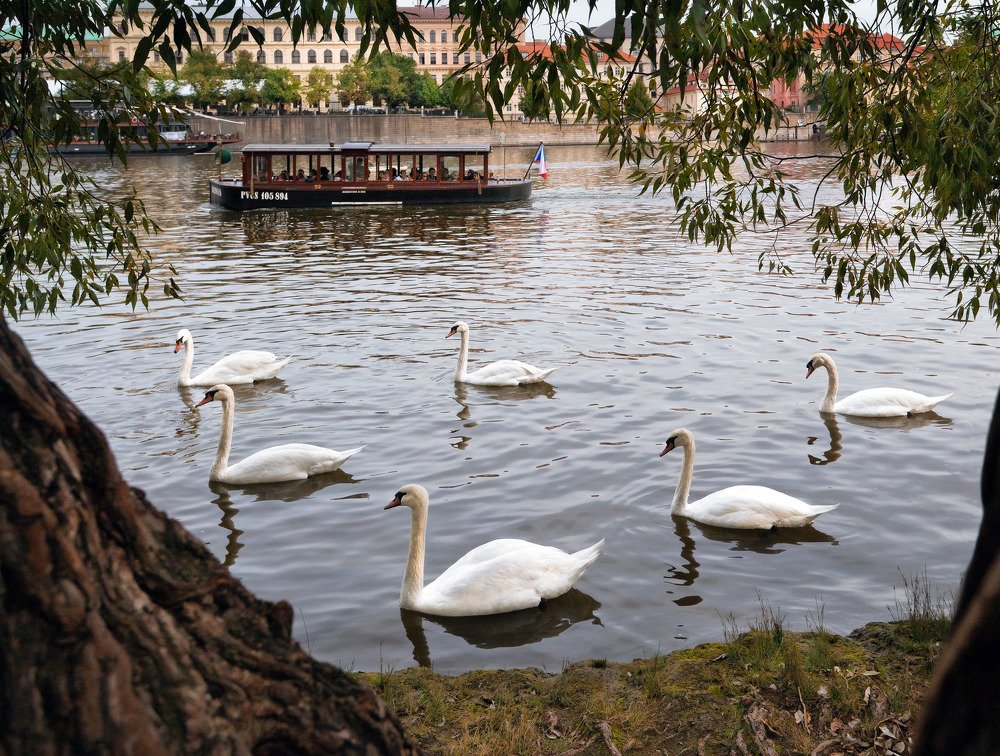 Фотография автора Ольга Виноградова