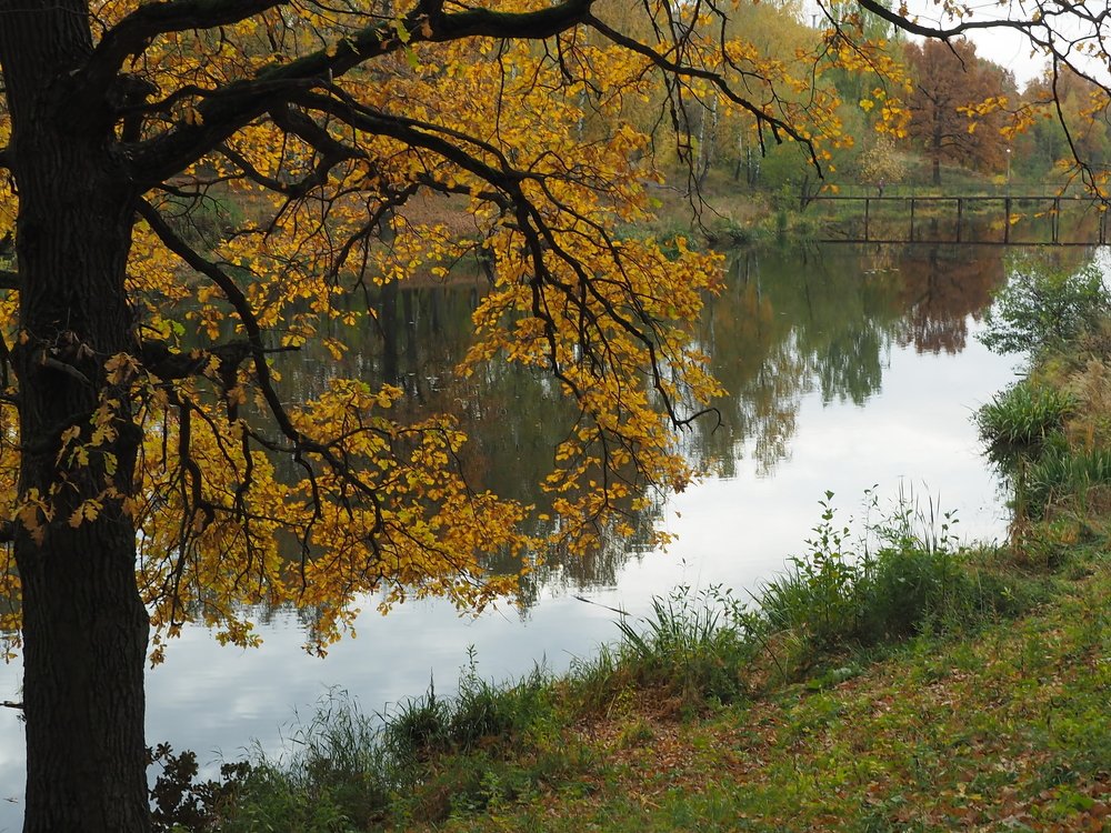 Photograph by Елена Харитонова