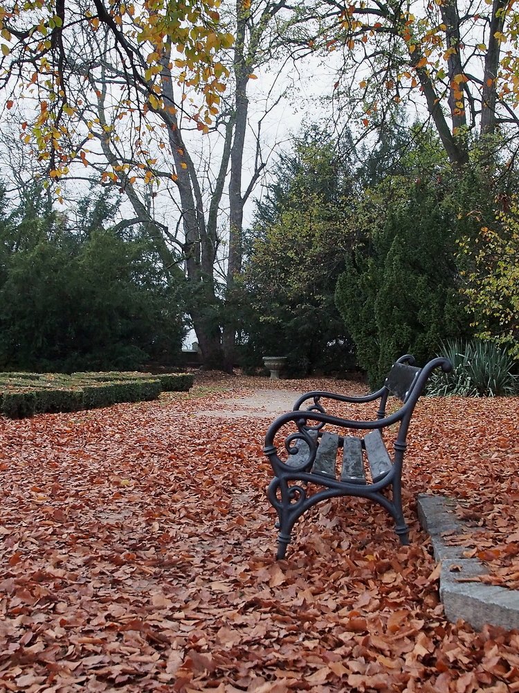 Умиротворение осени