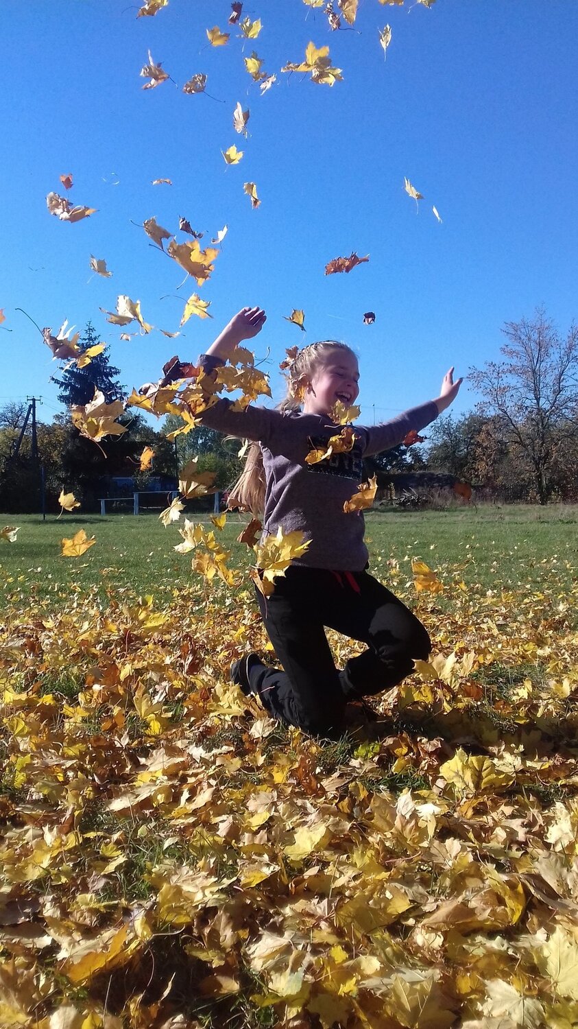 Photo #5072535