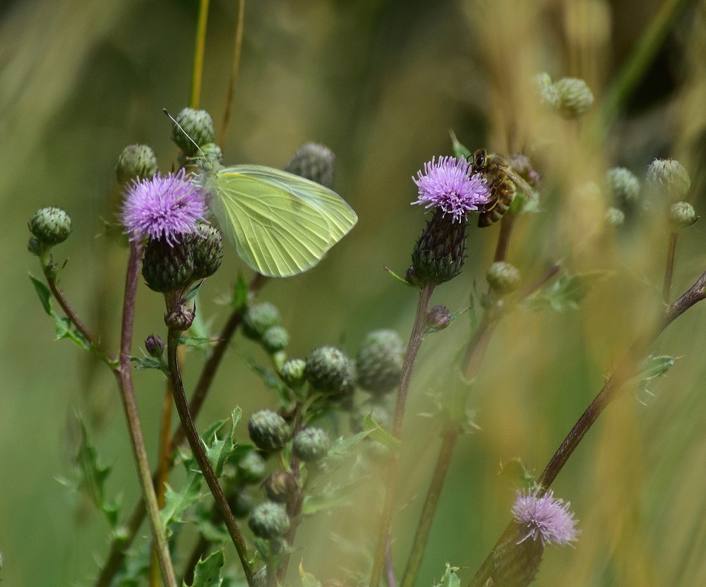Photograph by Vitalii Kaznin