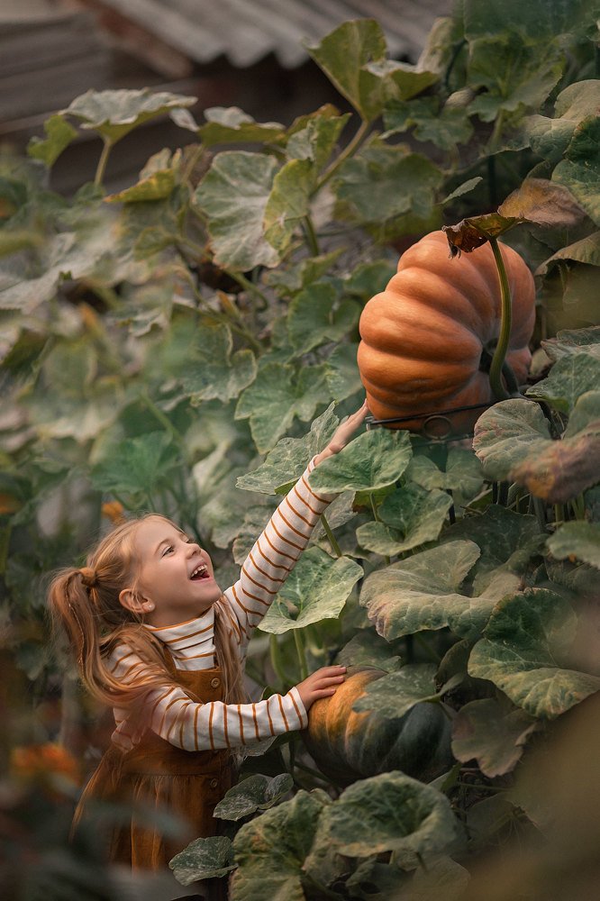 Photograph by Александра Пименова