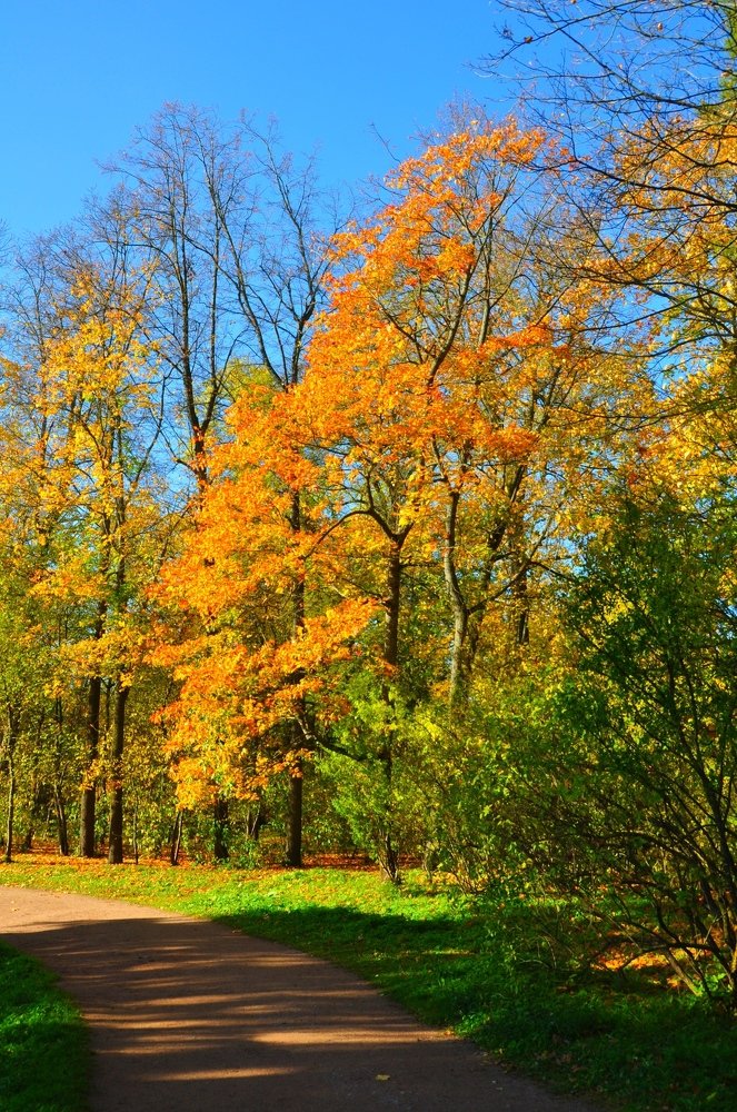 Photograph by Евгений Захаров