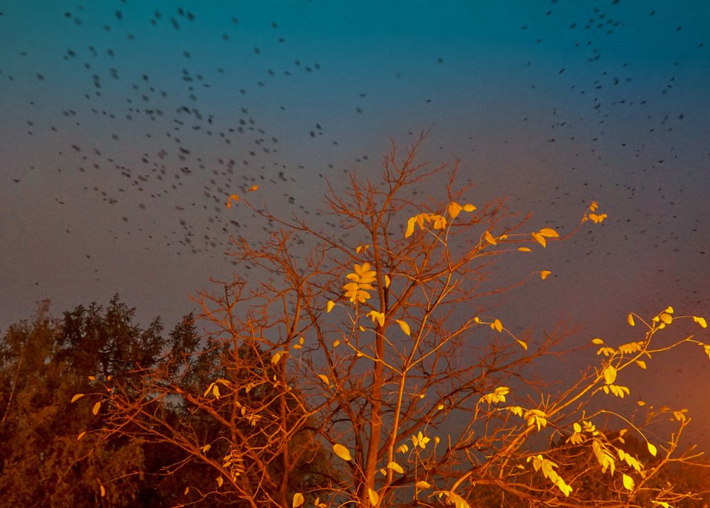 Photograph by Светлана Иванова