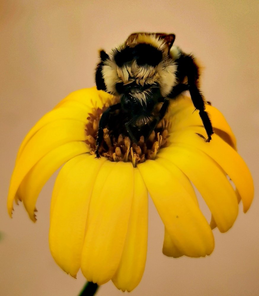 Photograph by Юлия Арестова