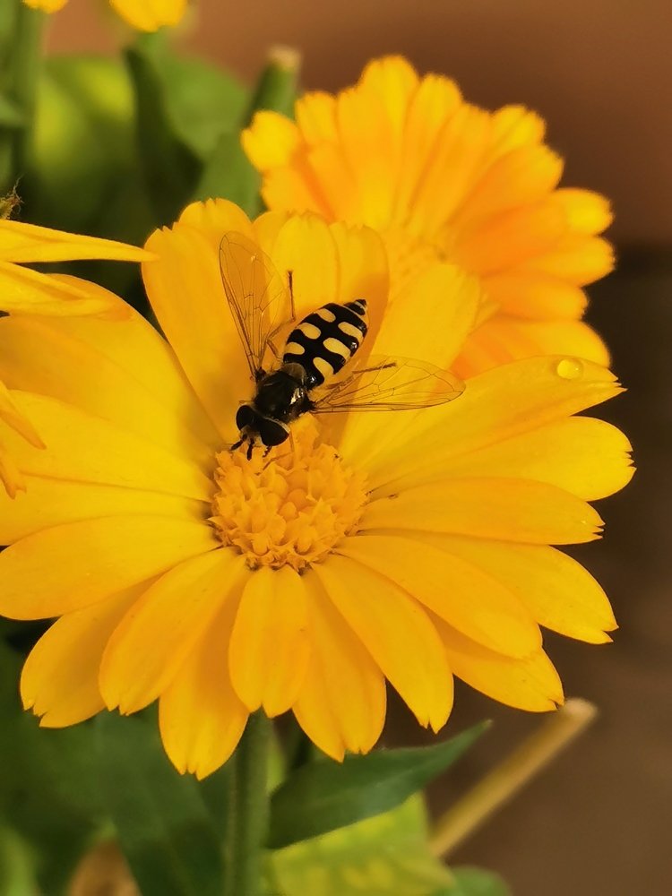 Photograph by Юлия Арестова