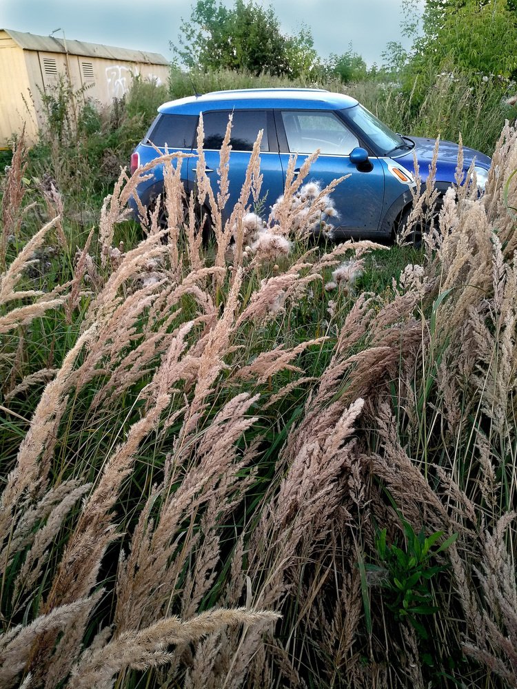 ЦВЕТОЧНАЯ КОМПОЗИЦИЯ