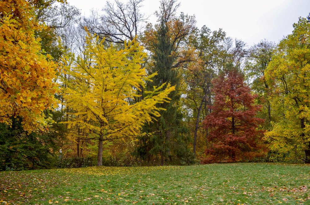 Photograph by Marina