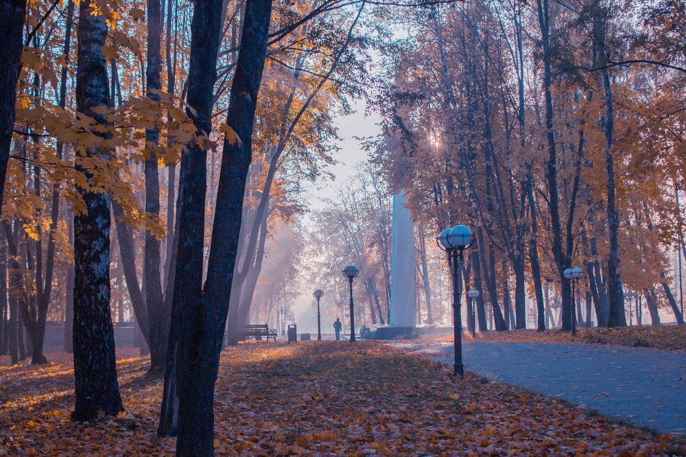 Photograph by Валерий Зенович